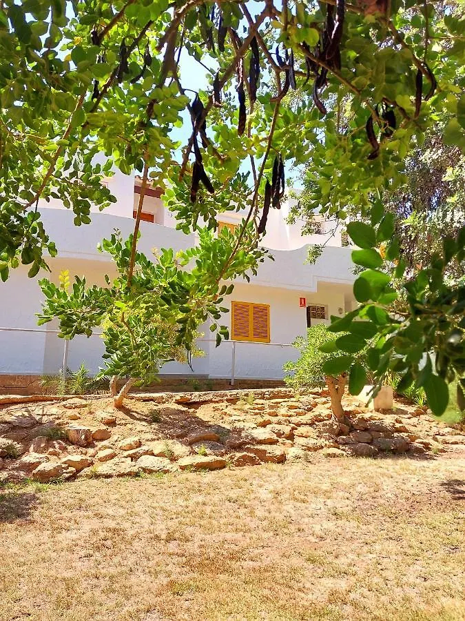 Siesta Mar Apartamentos Ibiza Santa Eularia des Riu Lägenhet